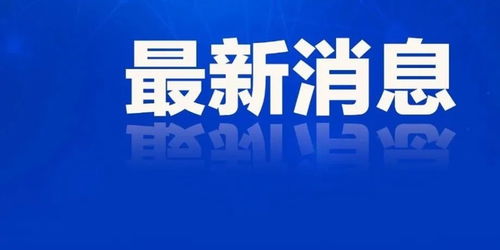 山东七地代理县市区长公布，确保政务工作持续稳定运行